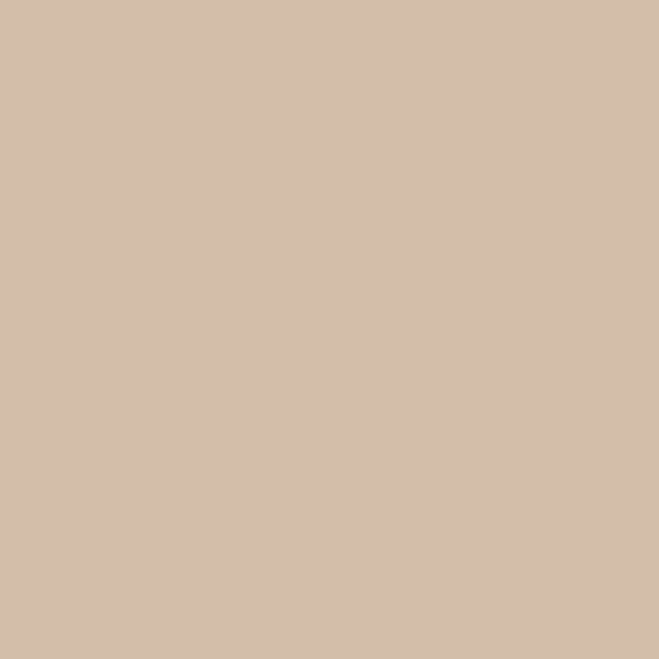LT313 Sahara Matt